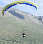 Άβαταρ μέλους